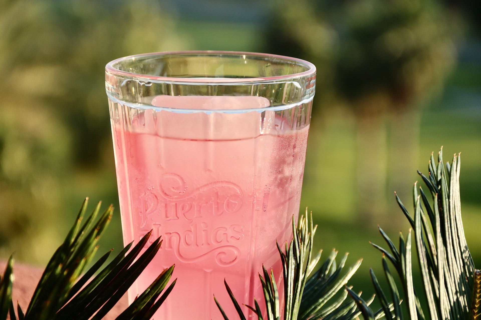 clear drinking glass with pink liquid