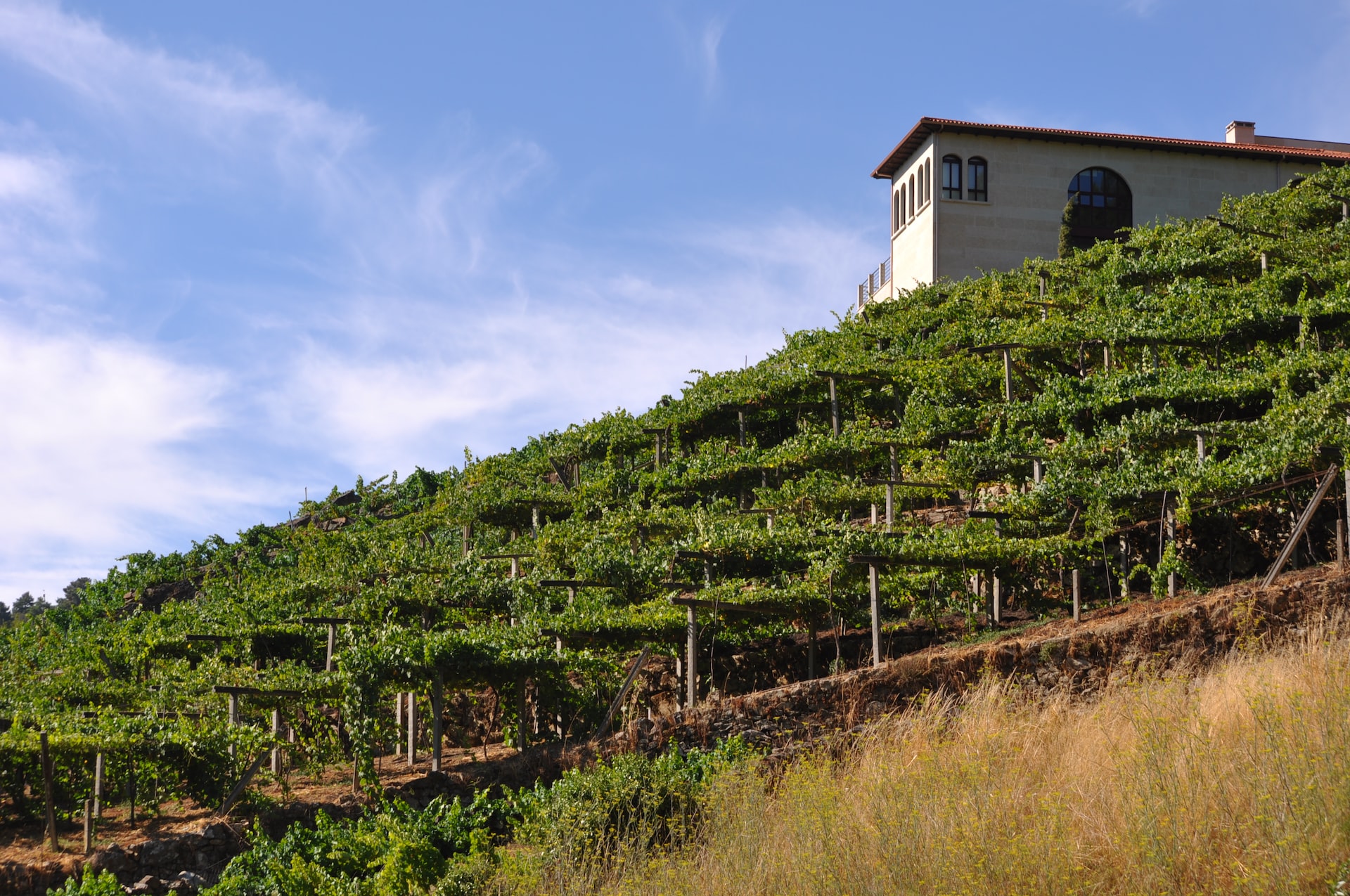 a house sitting on top of a lush green hillside