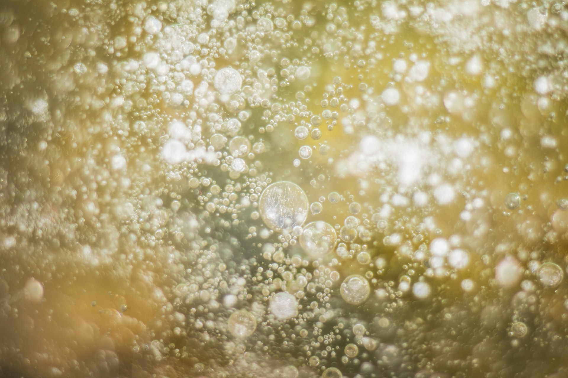 a close up of water bubbles on a window
