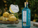 Ginebra BOMBAY SAPPHIRE **PREMIER CRU 70cl