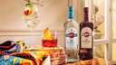 Bacardi-imagen-MARTINI-1.jpg-2.png