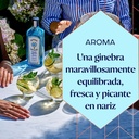 Ginebra BOMBAY SAPPHIRE 43º 70cl