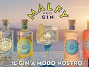 Ginebra MALFY ORIGINALE 70cl 41º