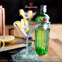 Ginebra TANQUERAY NO. TEN 70cl 47,3º