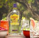 Ginebra GORDONS 70cl