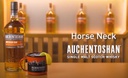 Whisky AUCHENTOSHAN AMERICAN 40º 70cl